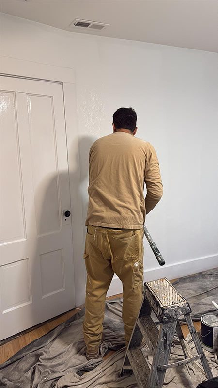 About WC Pro Paint